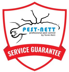 pest nett service